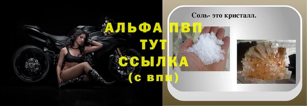 кокс Белокуриха
