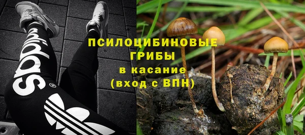 кокс Белокуриха