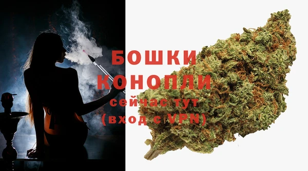 Альфа ПВП Беломорск
