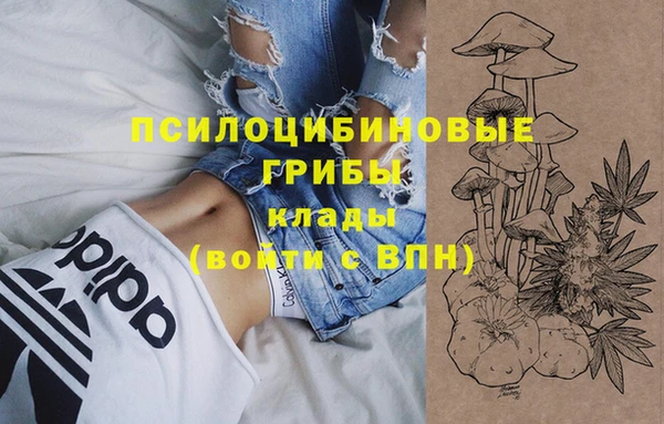спиды Белоозёрский