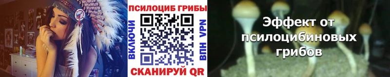 Псилоцибиновые грибы мухоморы  купить наркотик  Славгород 