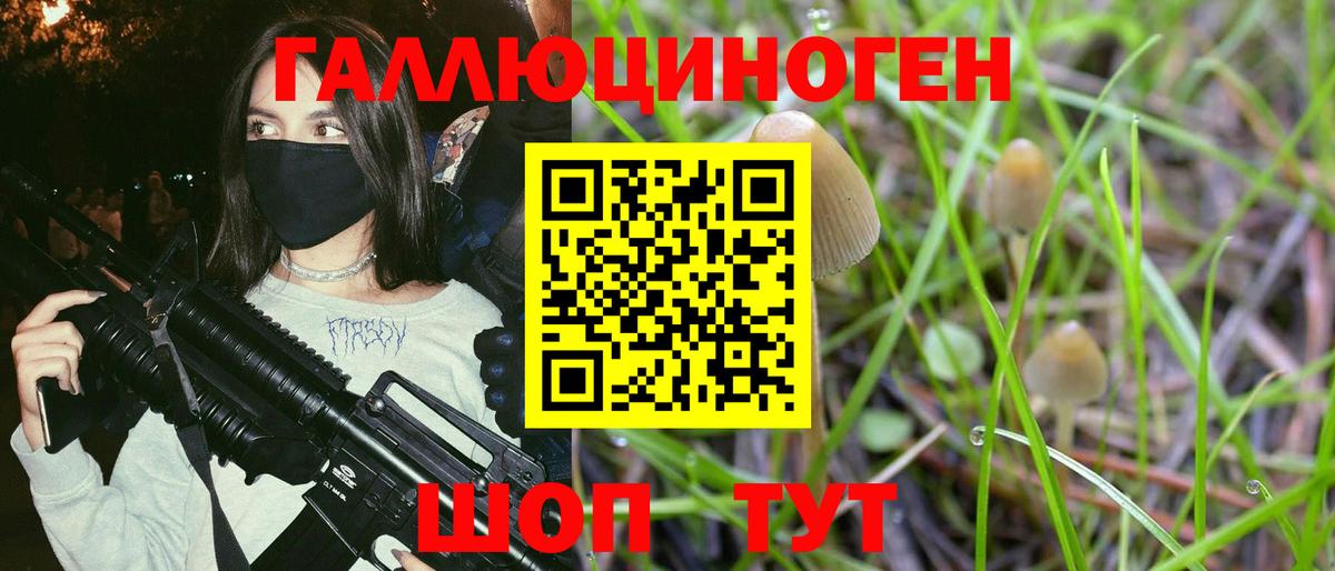 Славгород  Псилоцибиновые грибы прущие грибы  Вход с VPN 